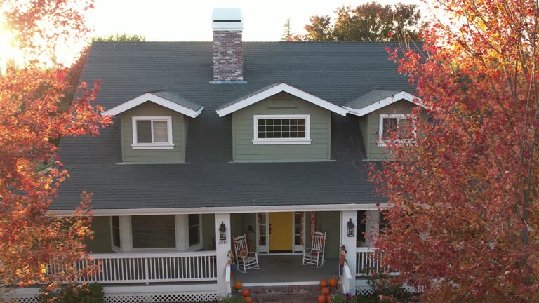 Best Roof Insulation Installation  in Coldstream, OH