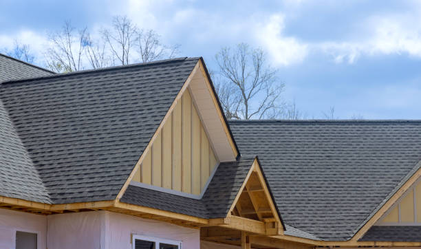 Best Skylight Installation and Repair  in Coldstream, OH