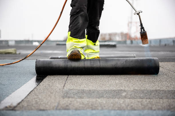 Best Gutter Installation and Repair  in Coldstream, OH