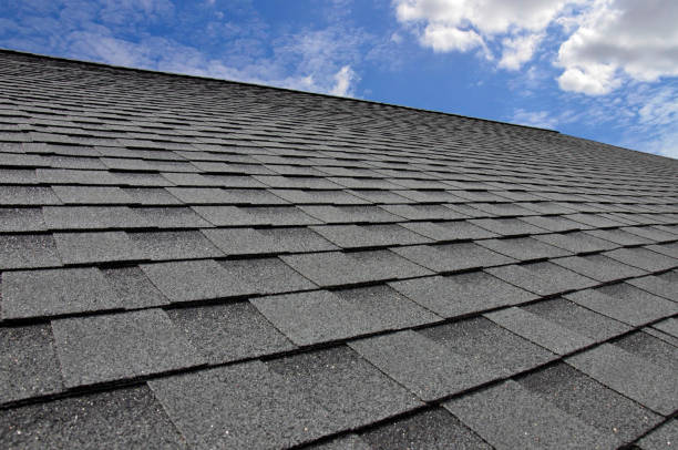 Best Roof Moss and Algae Removal  in Coldstream, OH
